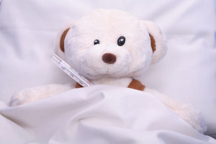 из интернета