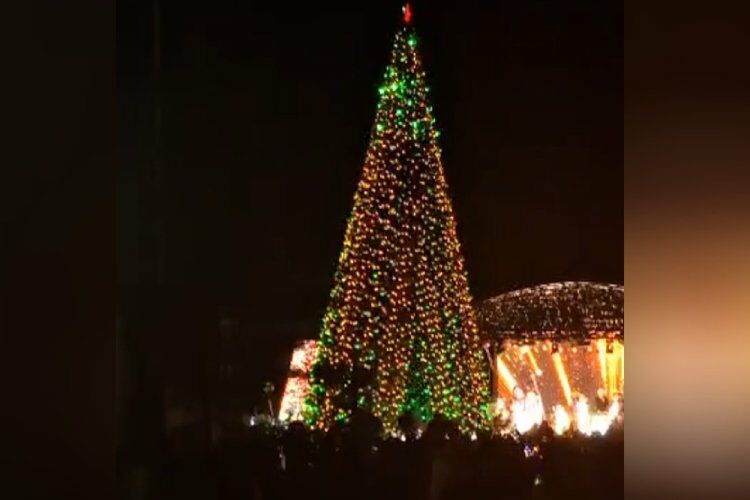 из интернета