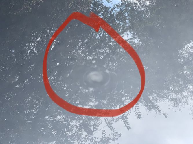 читательницы 24-kg.com