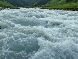 Кыргызстан и&nbsp;Узбекистан направят в&nbsp;Казахстан 600 миллионов кубометров воды 