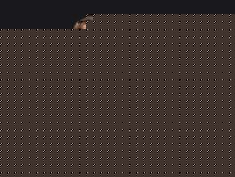 Валентина Шевченко по&nbsp;итогам 2025 года возглавляет рейтинг UFC 