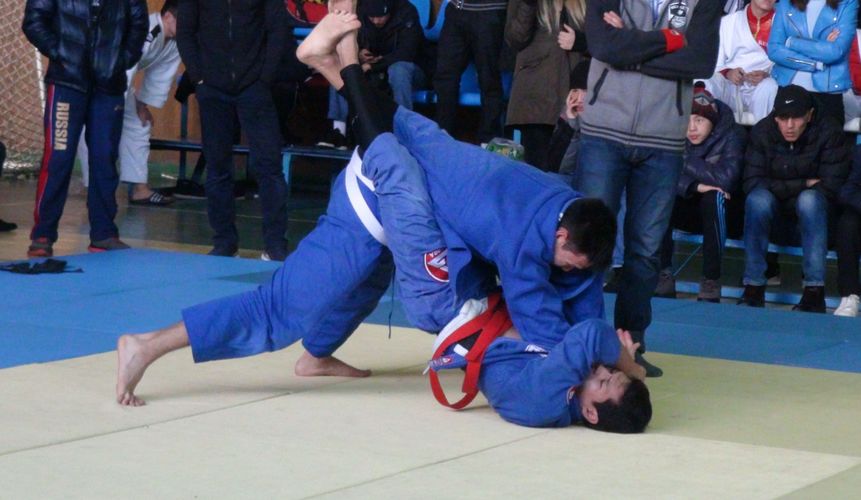 24-kg.com