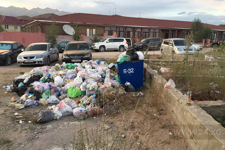 читателей 24-kg.com