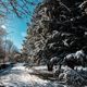 Фото Владислава Ногая. Первый день зимы в Бишкеке