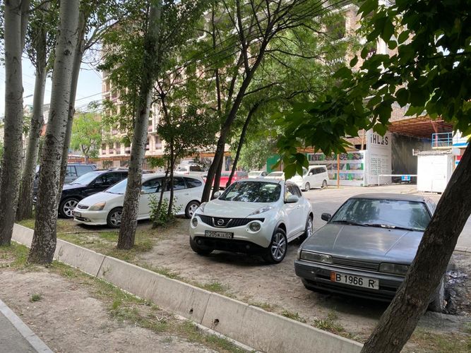 читателя 24-kg.com