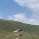 Фото Жумагуль Тентиевой. Озеро Сон-Куль