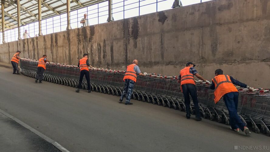иллюстративное