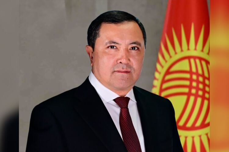 из интернета