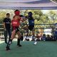 Фото Федерации тайского бокса WMF. Чемпионат Кыргызстана по тайскому боксу (WMF)