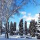 Фото Сони Айдарбаевой. Февральское село Бостери