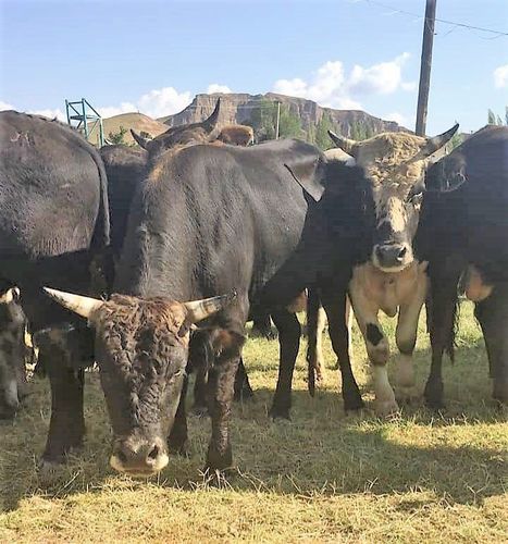 пресс-службы ПС ГКНБ 