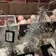 Фото 24-kg.com. В магазинах и на базарах представлен большой выбор елок на любой вкус и кошелек