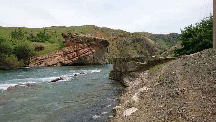 Данияра Ибраимова