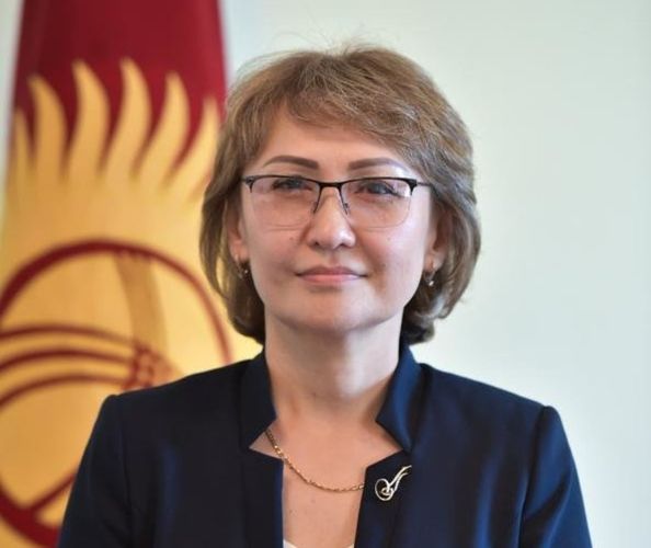 из интернета