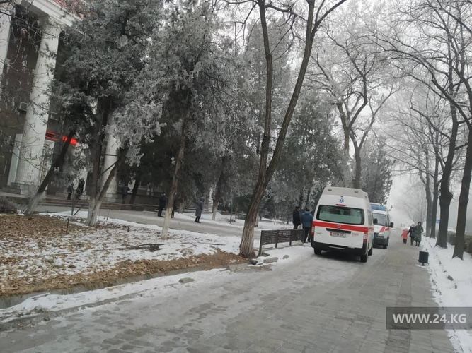 Эльдияра Карачалова