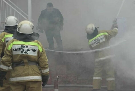 4,429 incidents recorded in Kyrgyzstan for year, 313 people killed