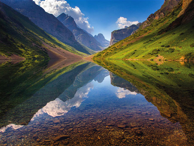 из интернета