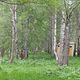 Фото Дамель Исмаиловой. Долина Кок-Жайык