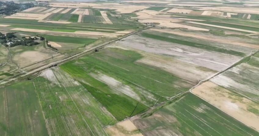 Государству вернули 822 гектара земель в&nbsp;Чуйской области Кыргызстана 