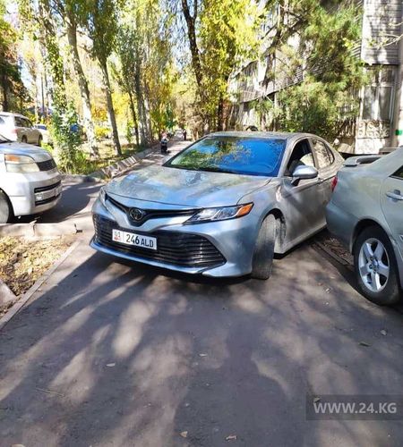 читателя 24-kg.com