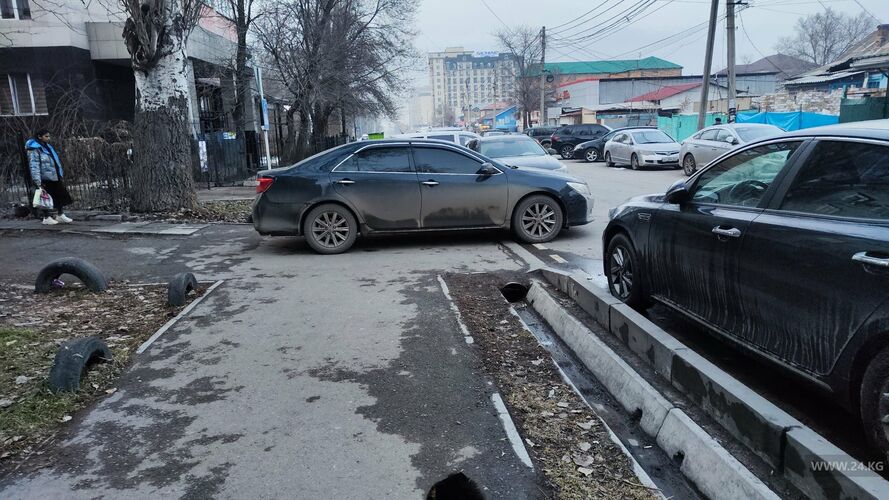 читателя 24-kg.com