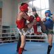 Фото ИА «24-kg.com». Цель состязаний — подготовка к чемпионату мира.