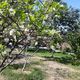 Фото Галины Артеменко. Село Кой-Таш