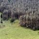 Фото Вячеслава Ногая. Кегетинское ущелье