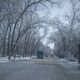 Фото Урмата Чырмашева. Февральское утро в Кара-Балте