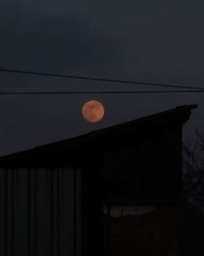 Василия Павлова