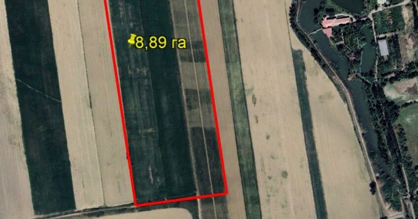 Государству вернули 80&nbsp;гектаров земель, связанных с&nbsp;ОПГ Камчи Кольбаева 