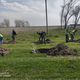 Фото Минтранса. Подрядчик сажает деревья взамен спиленных для расширения дороги