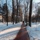 Фото Владислава Ногая. Зима в Бишкеке