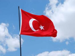 Turkey simplifies employment procedures for citizens of Turkic states