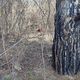 Фото 24-kg.com. Последствия очередного пожара