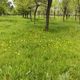 Фото Сони Айдарбаевой. Бишкек после дождей