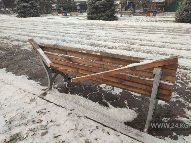 читателя 24-kg.com