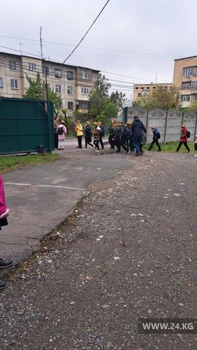 читателя 24-kg.com