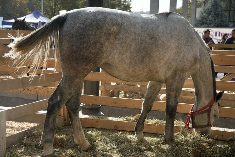 Министерства водных ресурсов, сельского хозяйства и перерабатывающей промышленности