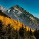 Фото Владислава Ногая. Осенняя Ала-Арча