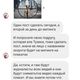 Фото читателя 24-kg.com. Сообщение от администратора Straydogs.kg
