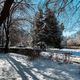 Фото Владислава Ногая. Первый день зимы в Бишкеке