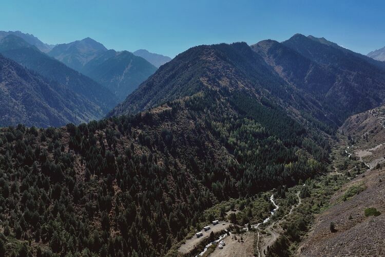 Евгения Липкина