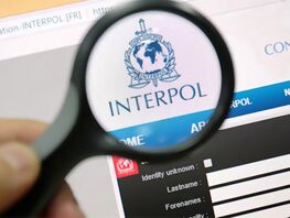МВД: Задержаны лица, находившиеся в&nbsp;международном розыске по&nbsp;линии Интерпола 