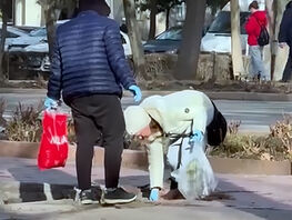 В&nbsp;Бишкеке на&nbsp;бульваре Эркиндик неизвестные разложили крысиный&nbsp;яд 