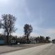 Фото 24-kg.com. Улицы городов и сел после введения карантина опустели