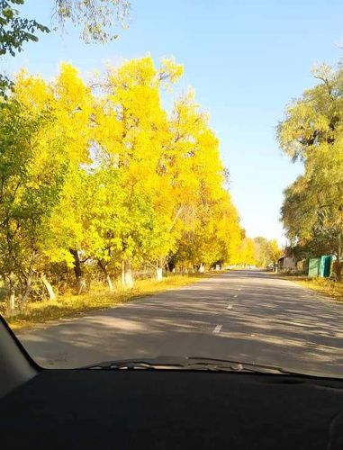 Токтокан Канашовой