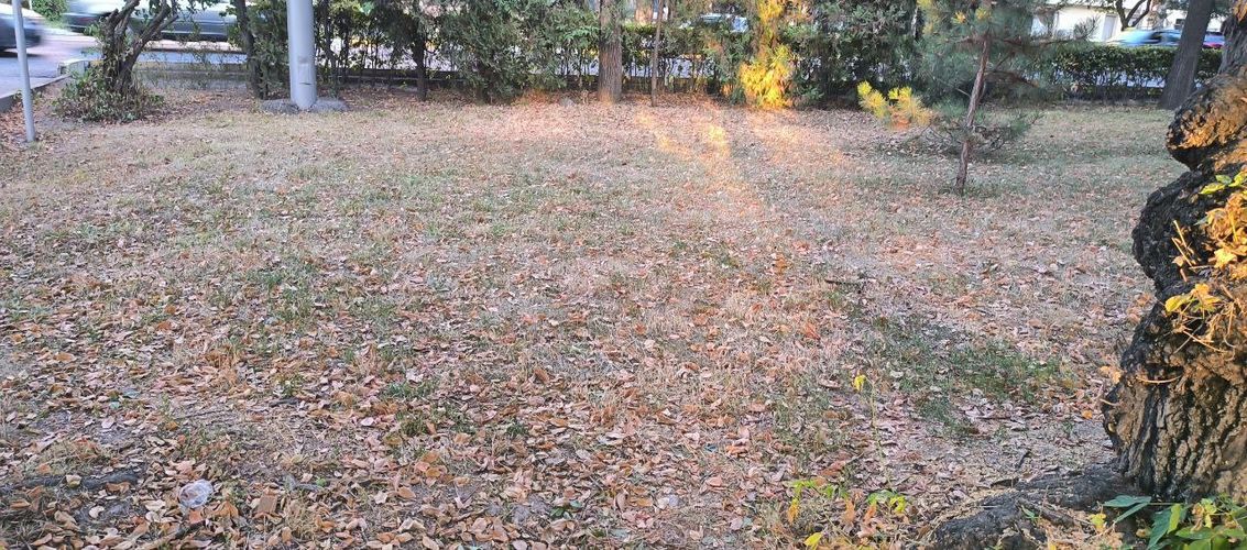 читателя 24-kg.com