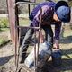 Фото 24-kg.com. Воду для полива саженцев доставляют вручную