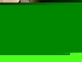 Экономия электроэнергии. После нагоняя президента мэр Оша разрешил работать кафе 